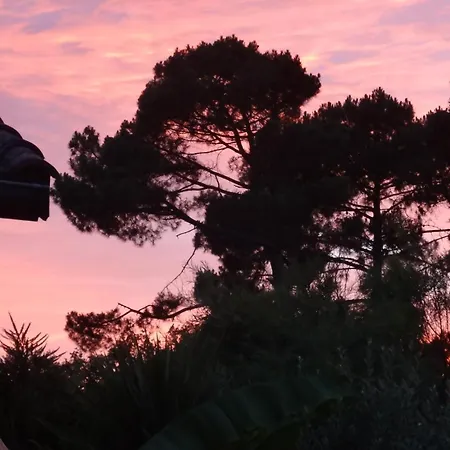 Apartment T2 Au Calme Avec Terrasse Sur Le Bassin D'arcachon Gujan-Mestras